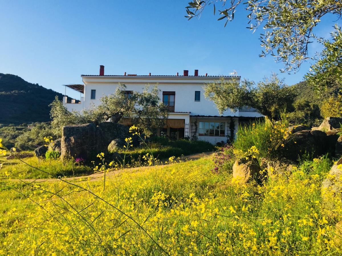 Flores Amarillas B&B Альмоарин Экстерьер фото