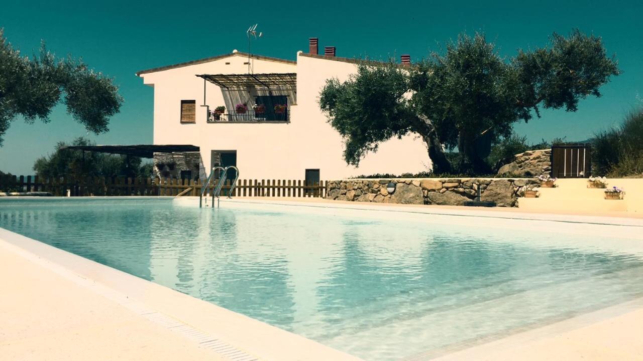 Flores Amarillas B&B Альмоарин Экстерьер фото